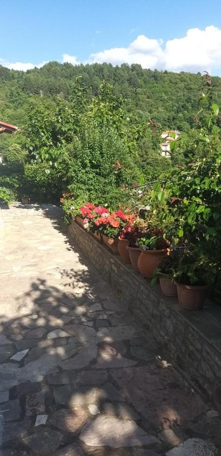 KarpenísionΤο Σπίτι Της Ευτυχίας Στούντιοアパートメント エクステリア 写真